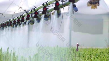 设备浇水种植园自动浇水农用工业